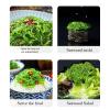 Instant Seaweed Salad Snacks, Mixed Vegetable Jerky, Skirt Side Dishes, Pickled Vegetables, Spicy Kimchi, Suitable for Salads Mixed Noodles, Casual Snacks (220g seaweed+520g asparag) view 4