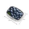 Delicious Blueberry Pill Box 2 Compartment Square Portable Pill Case for Pocket or Purse Small Weekly Medicine Planner Travel Pillbox with Mirror Decorative Metal Vitamin Holder Gifts view 4