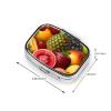 Fresh Juicy Fruits Pill Box 2 Compartment Square Portable Pill Case for Pocket or Purse Small Weekly Medicine Planner Travel Pillbox with Mirror Decorative Metal Vitamin Holder Gifts view 4