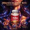 Kelp Supplement 1000mg Iodine Formula with Fucus, Marine Trace Minerals, Seaweed-Derived Plant-Based Gummies, Vegan-Friendly, Gluten-Free, Non-GMO, 60 Chewables for Women and Men, Daily Use view 2