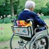 LVEWYB Butterfly Floral Rollator Bag Tote Organizer for Universal Walkers Walker Bag Mobility Aid Accessory Pouch for Seniors in Assisted Living view 4