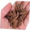 BIUDECO 100g Oak Aroma Enhancer Light Toast Chips French Oak for Wine Brewing Whiskey Aging Pack view 4