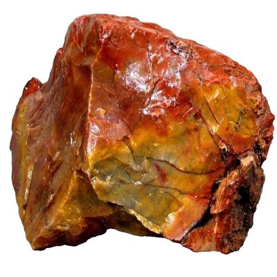1822 Gram 4 Pound Arizona Petrified Rainbow Wood Cabochon Gem Rough US123/32725