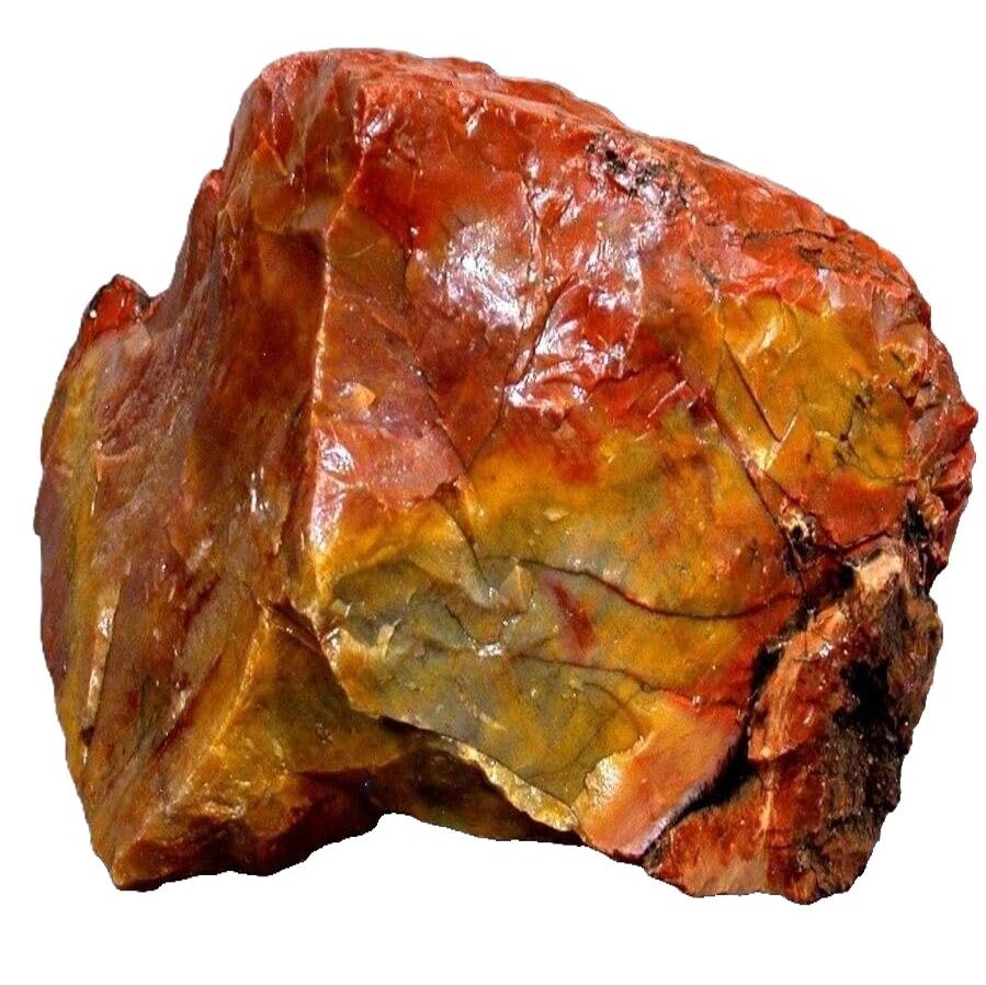 1822 Gram 4 Pound Arizona Petrified Rainbow Wood Cabochon Gem Rough US123/32725