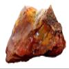 1822 Gram 4 Pound Arizona Petrified Rainbow Wood Cabochon Gem Rough US123/32725 view 2