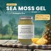 Pure Certified Wild Harvested Organic Sea Moss Gel Made Fresh (16 ounce, Bee Pollen) view 2