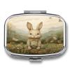 Small Pill Case, Travel Pill Box, Sit on The Grassprinting Pill Case,Portable Pill Organizer,Two Compartments Travel Pill Organizer,Portable Pill Container Medicine Vitamin Organizer view 1