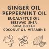 TOGOLIUN Sweet Ginger Vapor Rub Stick All-Natural Herbal Balm with Ginger & Peppermint, Plant-Based Formula, Easy-to-Use Stick Design (1) view 3