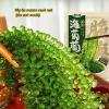 Instant sea grapes, fresh kelp, seaweed salad, sushi cold salad 100g/bag, delicious kimchi, side dishes, instant pickles vegetable, cold mixed dishes, hot pot ingredients, nutritious snacks (1 bag) view 3