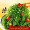 Instant sea grapes, fresh kelp, seaweed salad, sushi cold salad 100g/bag, delicious kimchi, side dishes, instant pickles vegetable, cold mixed dishes, hot pot ingredients, nutritious snacks (1 bag) view 4