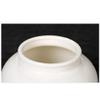 FFDSDUH Urns Pet Urns for Dogs Ashes Funeral Urn for Pet,Small Handcrafted Ceramics Keepsake,Burial at Home Or Cemetery,Adults,Dog,Cat Pet Urn(B) view 2