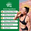 Blaze n Chill Golden Boom Energy & Focus Shot | Mental Clarity & Performance Support for Work, Study & Training | Clean Daily Energy Drink | Lemon Ginger Flavor | 2 fl oz (6 Pack) view 2