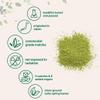 Micro Ingredients Organic Ceremonial Grade Matcha Powder, 100 Servings | Authentic Japanese First Harvest Matcha Green Tea Powder For Barista-Grade Latte, Beverage & Baking view 4