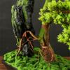 YXIANG56Q Fake Plants Artificial Bonsai Tree with Ceramic Pot Fake Plant Ornaments for Living Room Entrance TV Cabinet Bonsai Tree view 3