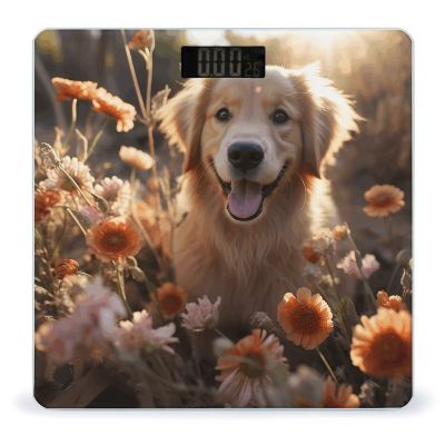 Golden Retriever and Flowers Scale for Body Weight Highly Accurate Digital Bathroom Body Scale Digital Body Weight Scale Tempered Glass LCD Display Batteries and Tape Measure