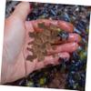 Ciieeo Medium Oak Chips French Oak Chips Wine Supplies Homebrewing Equipment Diy view 3