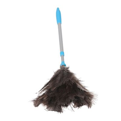 PRETYZOOM Extendable Ostrich Long for Ceiling Fan High Ceiling Blinds and Furniture