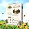 Milk Tea Group (1 PACK, MATCHA LATTE) view 3