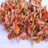 Dried Palash Flowers (Butea Monosperma) 100% Natural, Sun-Dried, for Herbal Chai & Ayurveda Use 100 Gram view 3