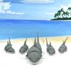 5pcs 3D Printed Sharks, Articulated Sharks, Gray and White Shark Toy, Sea Animal, Fidget Toy for ADHD/Autism AS001-GRAY-5X view 4