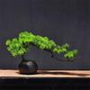 YXIANG56Q Fake Plants Simulation Welcome Pine Beauty Pine and Bonsai Ornaments Home Living Room Potted Plants Bonsai Tree(Green) view 3