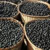 ACAI Berry Complex - Acai Berry, Acai Supplement, Acai Complex, Acai Extract, Acai Organic, Acai Natural, Acai Wellness, Acai Energy, Acai Support, Acai Nutrition, Acai Tropical, Acai Fruit 2Bot view 4