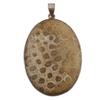 Pendant Coral Petoskey Stone Silver Stone Pendant Fossils Minerals Stone Healing Crystal Stone Pendant PE-GEO-558 Geofossiles view 1