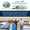 CLEAR CREEK Washington State Grown Black Beans | 12 LB (3-4 lb bags) | Non-GMO | Vegan | Kosher | Non-Irradiated | Dry Black Beans | Frijoles Negros view 4