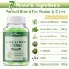 2 Pack Organic Valerian Root Gummies, Herbal Supplements for Calm & Relaxation, Natural Sleep Support for Adults & Kids, Melatonin Free, Vegan, Non-GMO, Gluten Free, Apple Flavor, 120 Count view 2