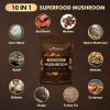 10-in-1 Mushroom Powder, Organic Mushroom Complex - Lions Mane, Reishi, Shiitake, Chaga, Turkey Tail, Cordyceps & More, Mushroom Supplement Powder for Energy, Memory, Focus & Immune Support - 60g view 2
