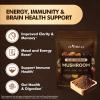 10-in-1 Mushroom Powder, Organic Mushroom Complex - Lions Mane, Reishi, Shiitake, Chaga, Turkey Tail, Cordyceps & More, Mushroom Supplement Powder for Energy, Memory, Focus & Immune Support - 60g view 3
