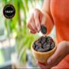 GNADF | Medium Pitted Prunes | Grown In The USA | Available in 5, 10, 25 Lb Sizes | Gourmet Nuts And Dried Fruit | (5 lbs) view 2