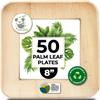 Palm Leaf Plates Bamboo Paper Plate Disposable 8 Inch 50 Bulk Appetizer Square Party Tableware Pack Biodegradable Compostable Wood Plate Better Plastic By KoalaLove view 1