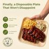Palm Leaf Plates Bamboo Paper Plate Disposable 8 Inch 50 Bulk Appetizer Square Party Tableware Pack Biodegradable Compostable Wood Plate Better Plastic By KoalaLove view 2