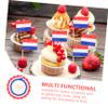 ABOOFAN 100Pcs Dutch Flag Toothpick Picks for Cupcake Toppers Party Decorations and Fruit Display Miniature Flags for Celebrations and Events view 3