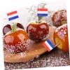ABOOFAN 100Pcs Dutch Flag Toothpick Picks for Cupcake Toppers Party Decorations and Fruit Display Miniature Flags for Celebrations and Events view 4