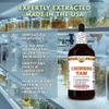 Chinese Yam (Dioscorea Polystachya) Dry Tuber Tincture, Made in Hawaii, All Natural, Vegan, Pure Liquid Extract - 32 fl.oz view 2