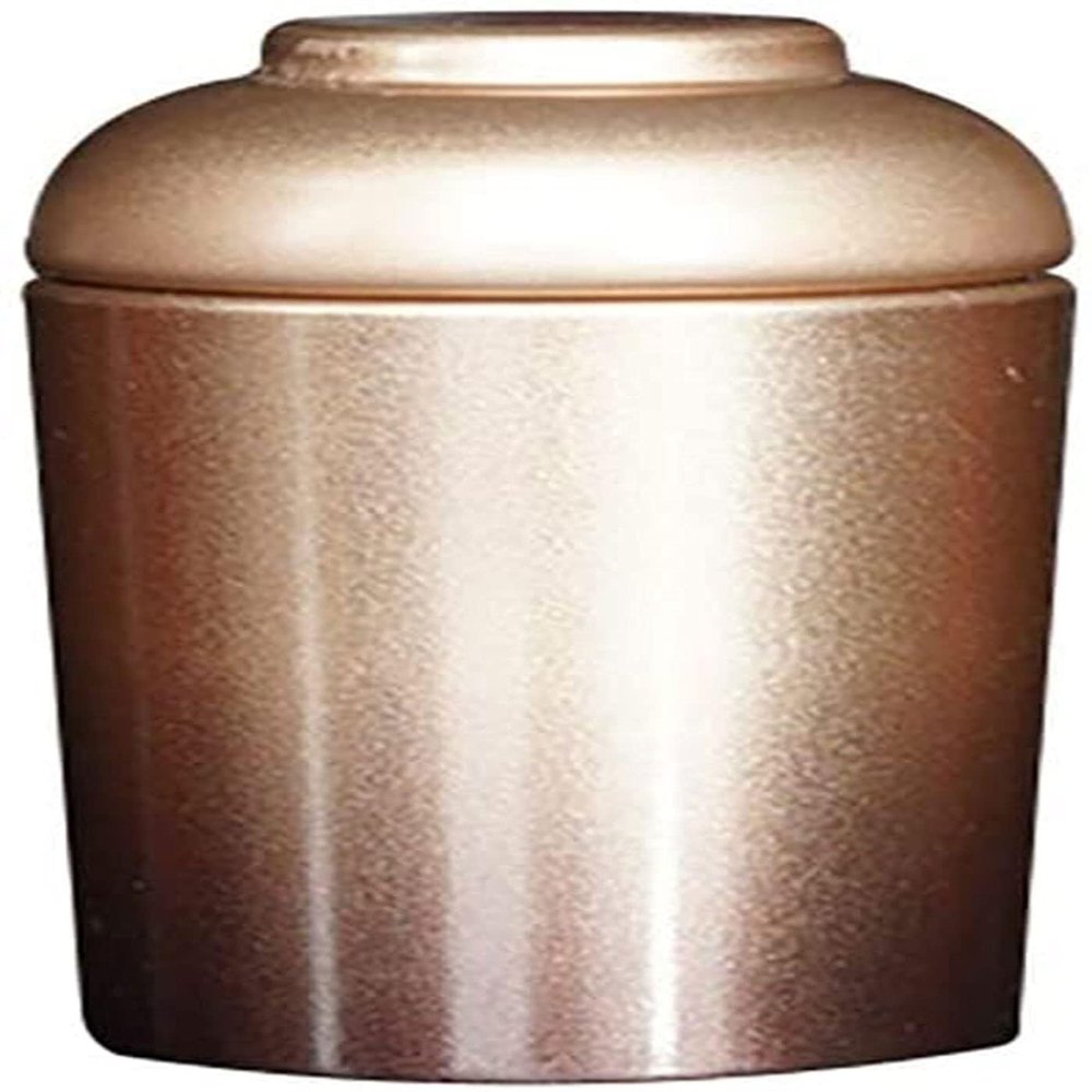 Mini Funeral Cremation Urn for Ashes, Small Pet Urn Keepsake for Dog/Cat, Tinned Iron Memorial, 200ml Capacity, Thoughtful Memorial Urn