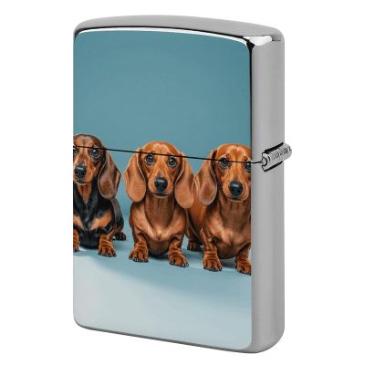 Three Dachshunds Lighter Case Fashionable Pocket Lighter Holder, Durable Protective Cover for Lighters
