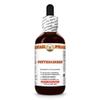 Wintergreen (Gaultheria Procumbens) Dry Leaf Tincture, All Natural, Vegan, Pure Liquid Extract - 2 fl.oz view 1