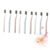 Beaupretty 9-Piece Nylon Adult Toothbrush Set Hard Bristles Matte Finish for Oral Care and Teeth Cleaning Available in Pink Sky Blue and Beige view 4