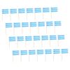 ABOOFAN 100pcs and White Checker Toothpick Flags for Oktoberfest Versatile Appetizer Picks for Snacks and Party Decorations view 1