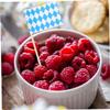 ABOOFAN 100pcs and White Checker Toothpick Flags for Oktoberfest Versatile Appetizer Picks for Snacks and Party Decorations view 4