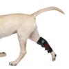 ZYUIOTHJK Therapy Device for Pet, Vet Infrared Light Therapy for Pet Arthritis Pain Relief, Muscle and Joint Pain view 1