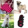 ZYUIOTHJK Therapy Device for Pet, Vet Infrared Light Therapy for Pet Arthritis Pain Relief, Muscle and Joint Pain view 2
