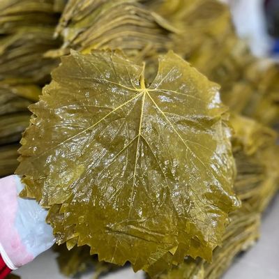 Turksh Tokat Erbaa Veinless Fine Vine Leaves Brine Leaves Fresh Crop 2 Kg (75,4 oz)
