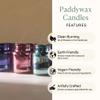Paddywax Chroma Scented Candle, Pacific Moss & Mist, 2.5 oz, Green view 4