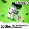 Jacked Factory Sugar Free Creatine Gummies - 5g Daily Dose (1.25g per Gummy) - Creatine Gummy Sugar Free for Men and Women, Vegan-Friendly, Third-Party Tested - 120 Gummies, Green Apple view 2