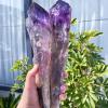 LoKori 1PCS Amethyst Scepter Original Raw Stone,High Energy Crystal Quartz Point Wand,Healing Gemstone Reiki Mineral Crafts Home Decoration Meditation,600~700g view 2