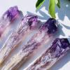 LoKori 1PCS Amethyst Scepter Original Raw Stone,High Energy Crystal Quartz Point Wand,Healing Gemstone Reiki Mineral Crafts Home Decoration Meditation,600~700g view 4